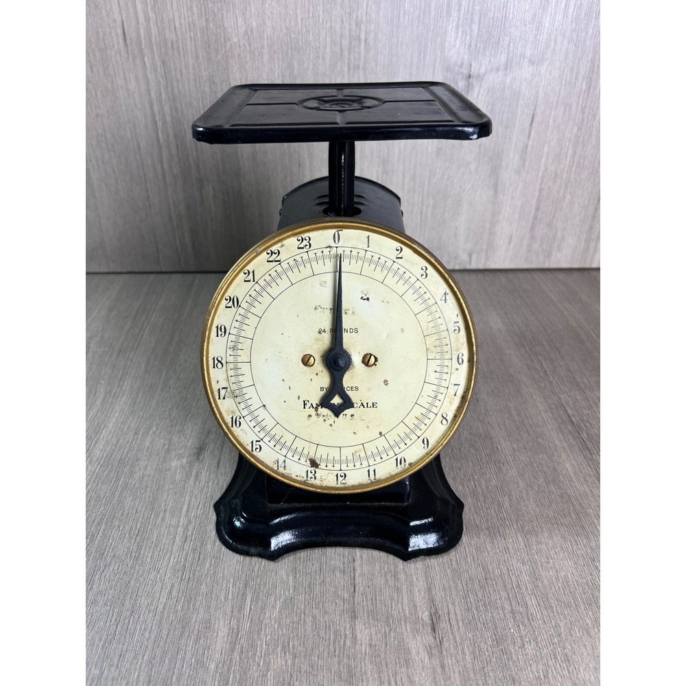 Eureka Family Scale Black Cast Iron 24 Lb Capacity Primitive Farmhouse